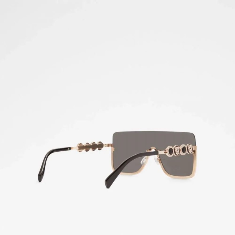 Black/Gold Multi Fashion Aldo Adigodda Women's Accessories Sunglasses