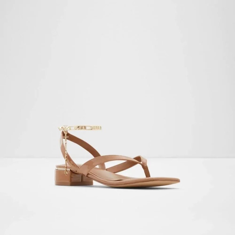 Dark-Beige Aldo Fashion Agralella Women's Flat Ankle Strap Sandal