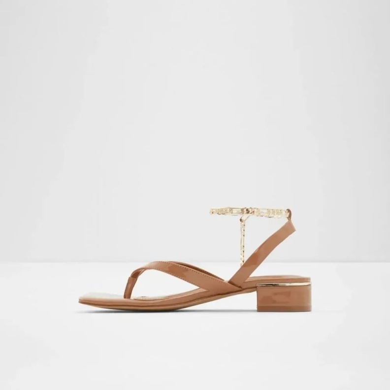Dark-Beige Aldo Fashion Agralella Women's Flat Ankle Strap Sandal