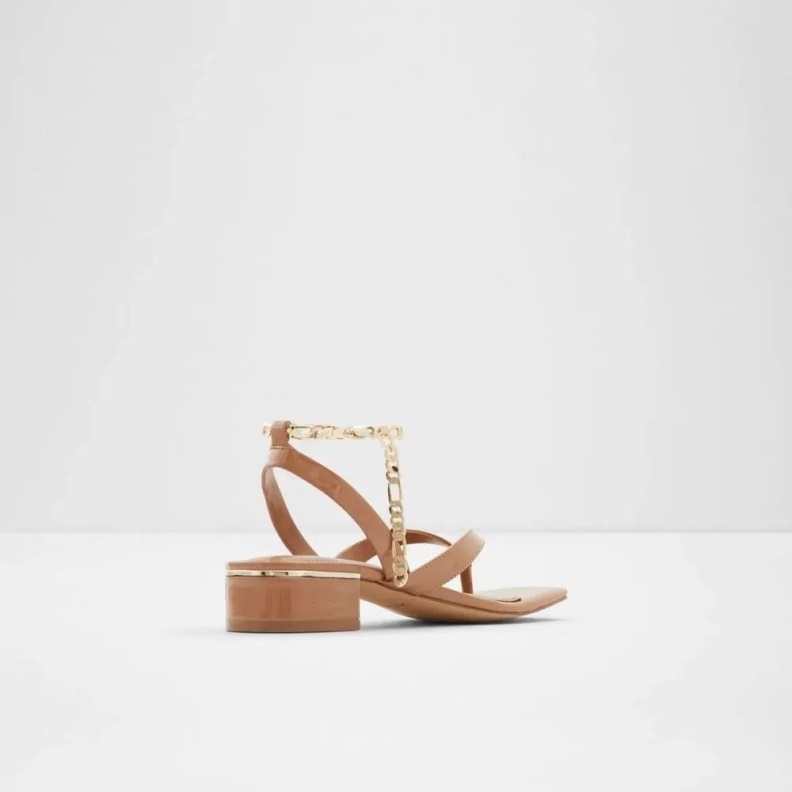 Dark-Beige Aldo Fashion Agralella Women's Flat Ankle Strap Sandal