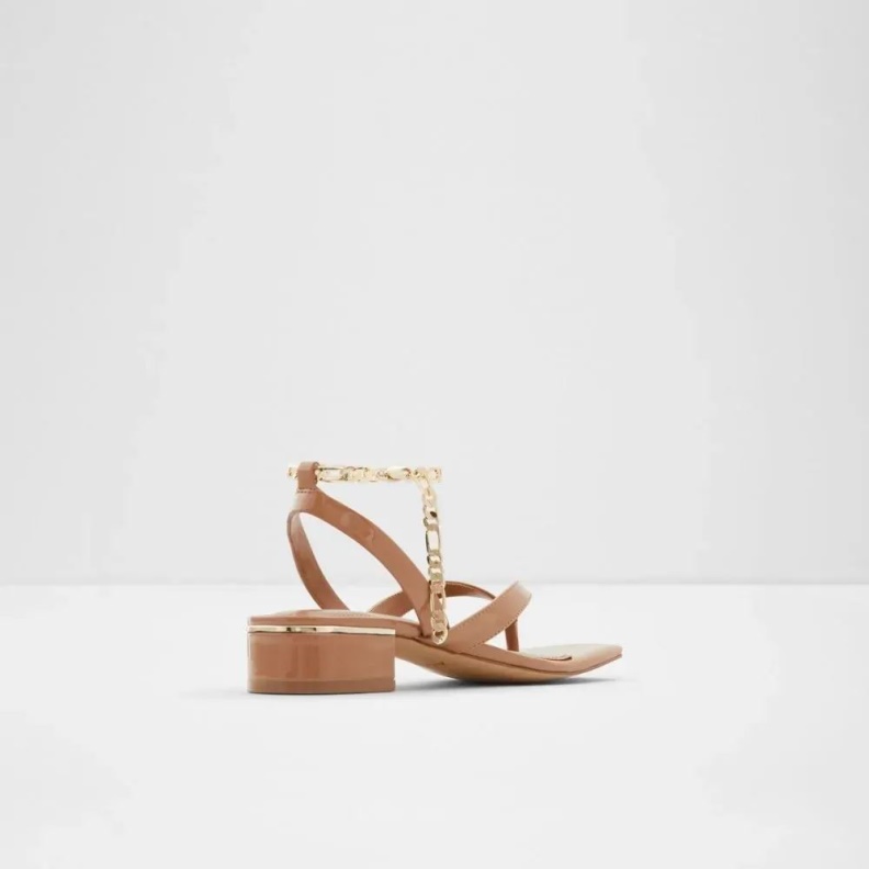 Fashion Dark-Beige Aldo Agralella Women's Block Heel Sandal
