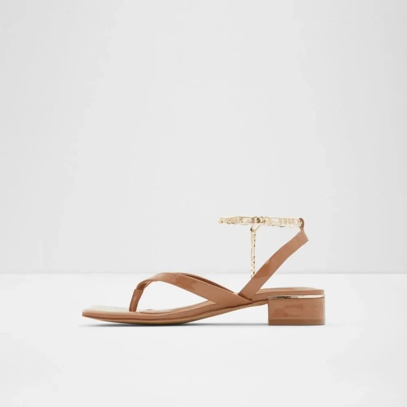 Fashion Dark-Beige Aldo Agralella Women's Block Heel Sandal