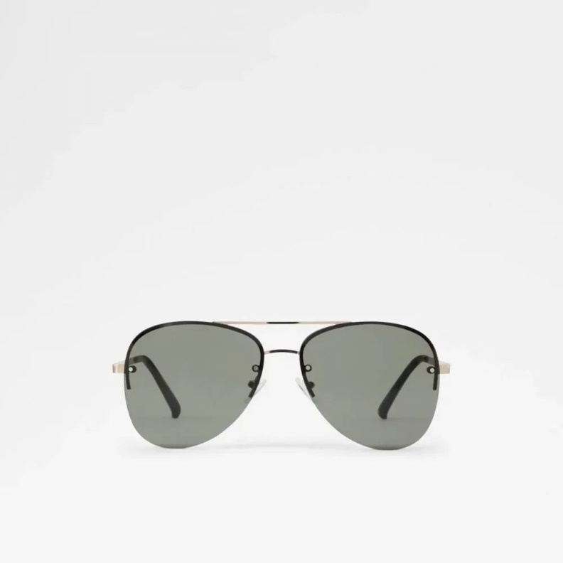 Aldo Ascaride Men's Accessories Sunglasses Fashion