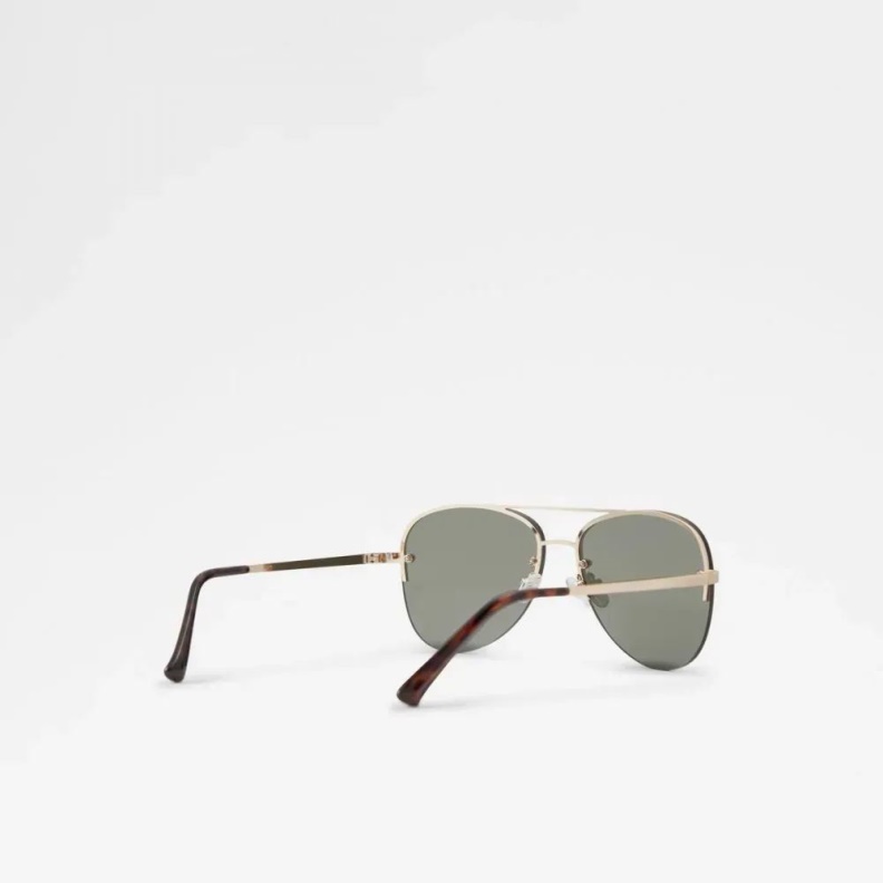 Aldo Ascaride Men's Accessories Sunglasses Fashion