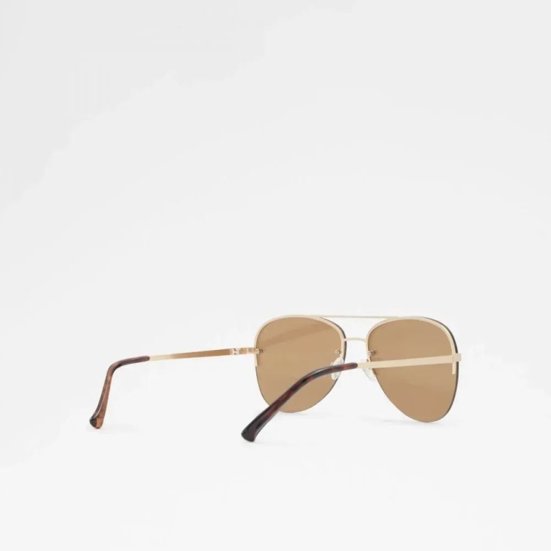 Gold Ascaride Men's Accessories Sunglasses Fashion Aldo