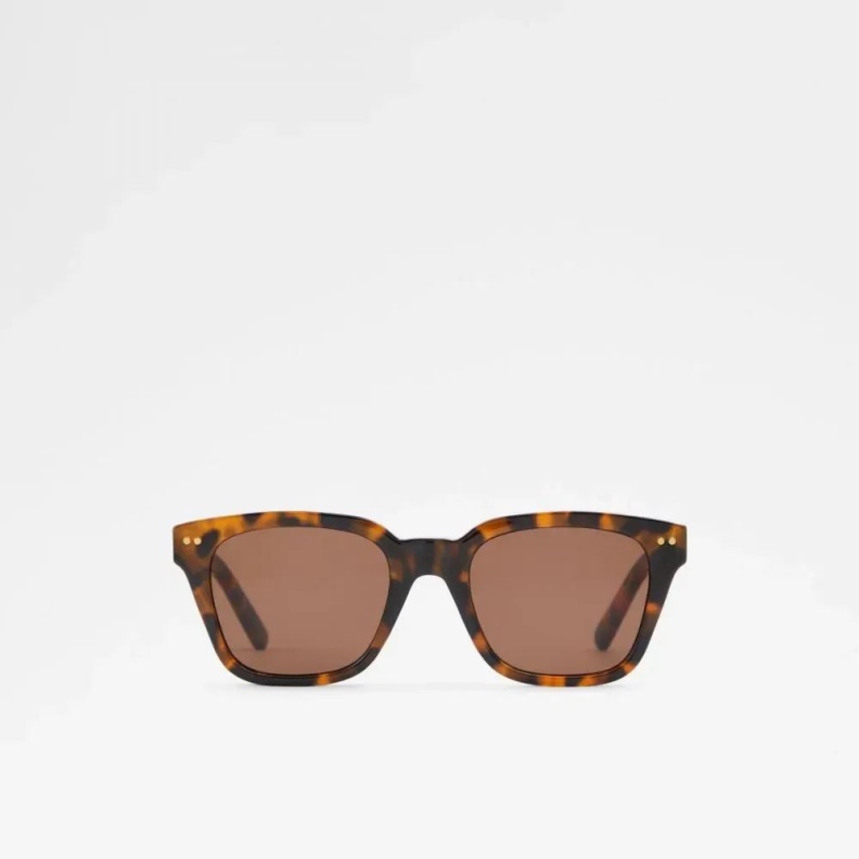 Aldo Other Brown Fashion Brachium Men's Accessories Sunglasses