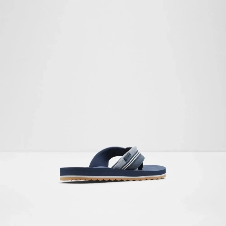 Navy Burges Men's Thong Flat Sandal Aldo Fashion