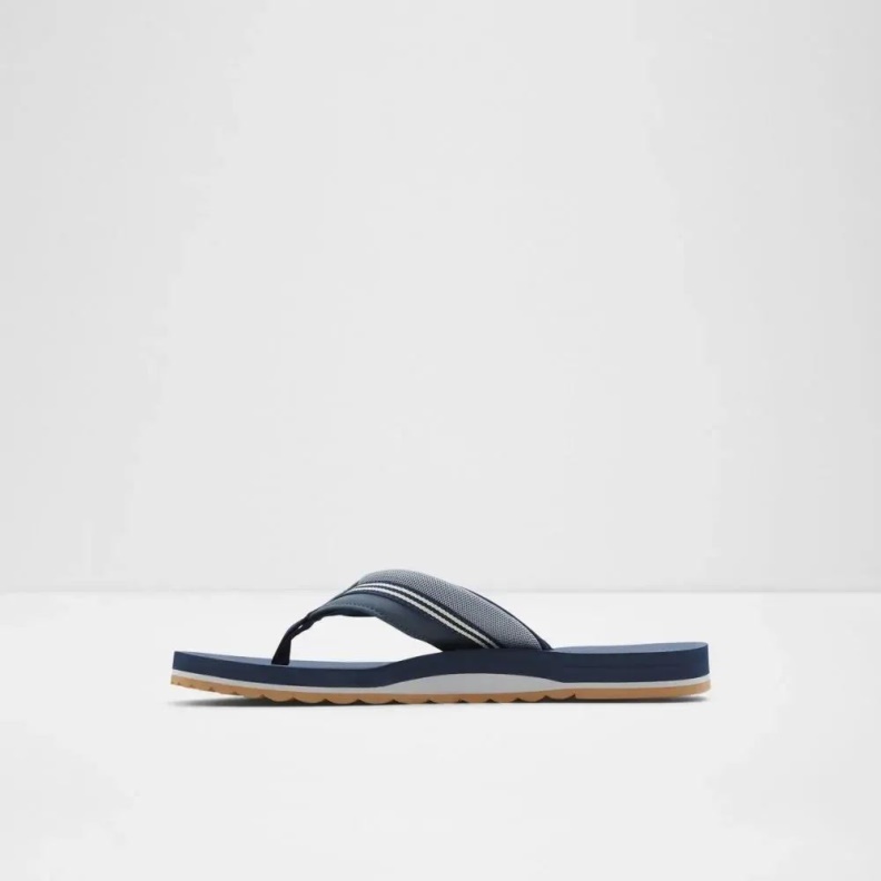 Navy Burges Men's Thong Flat Sandal Aldo Fashion