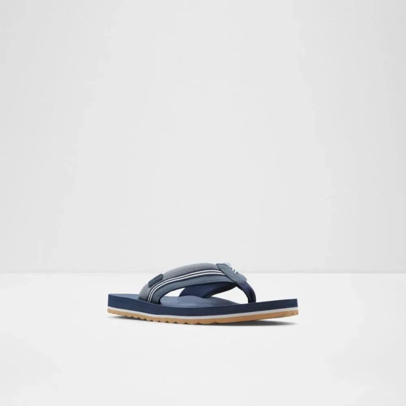 Navy Burges Men's Thong Flat Sandal Aldo Fashion