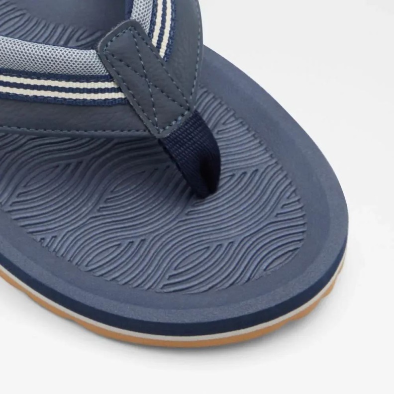 Navy Burges Men's Thong Flat Sandal Aldo Fashion