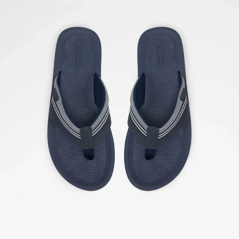 Navy Burges Men's Thong Flat Sandal Aldo Fashion