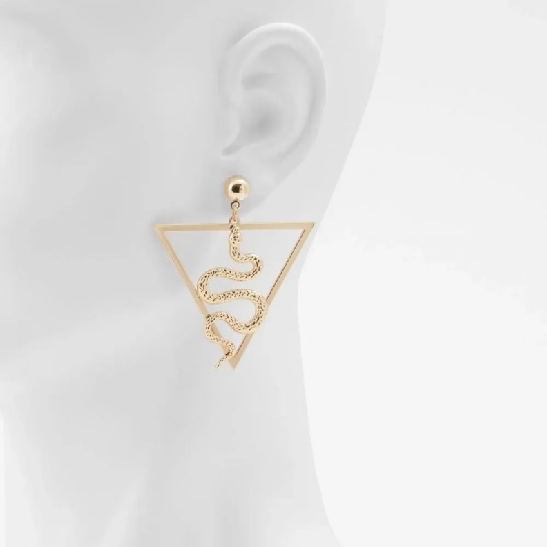 Gold Cadiliwiel Women's Accessories Earrings Aldo Fashion