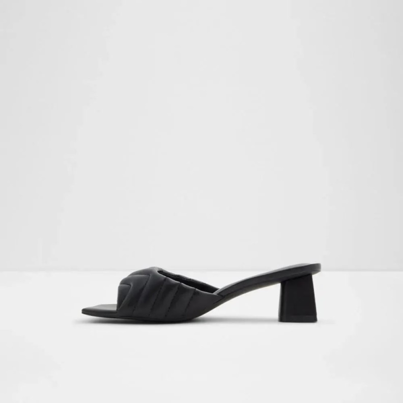 Celesta Women's Low Block Heel Sandal Aldo Fashion Black