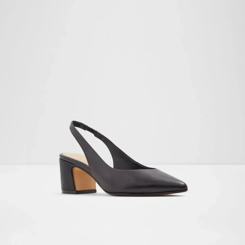 Fashion Aldo Civet Women's Pointed Toe Block Heel Sandal Black