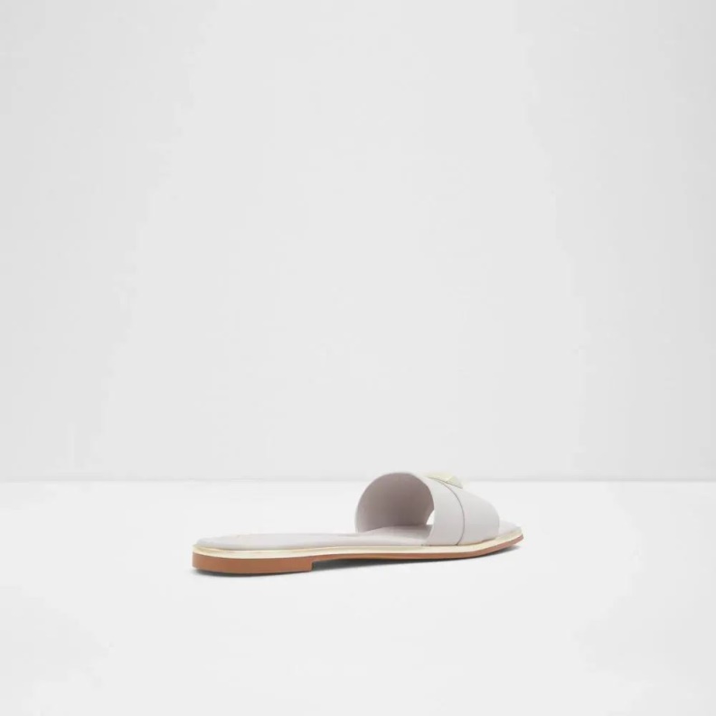 Other Grey Darine Women's Flat Slide Sandal Fashion Aldo