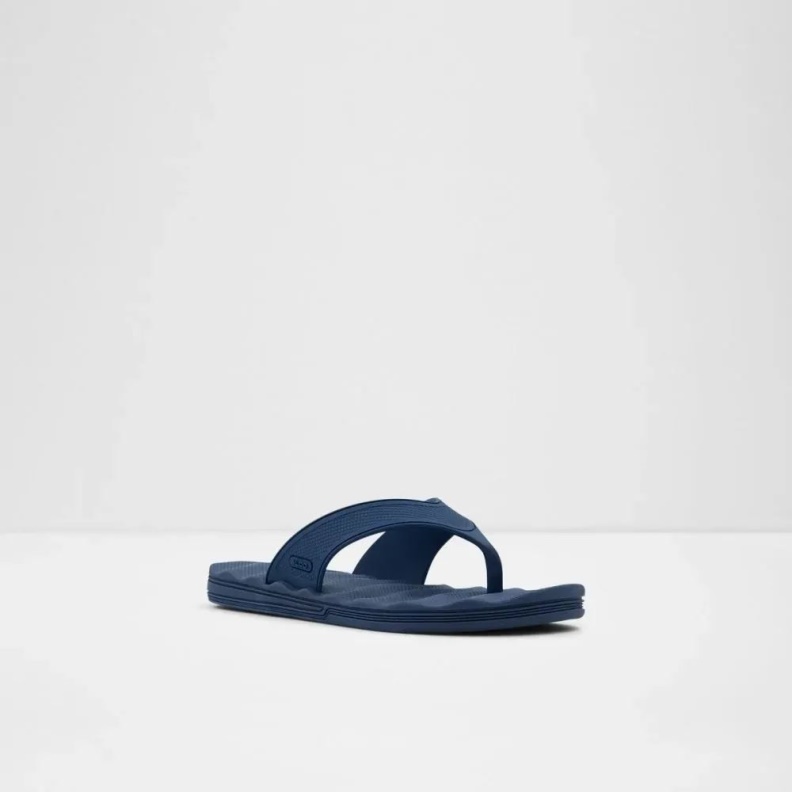 Navy Haciendo Men's Thong Sandal Aldo Fashion