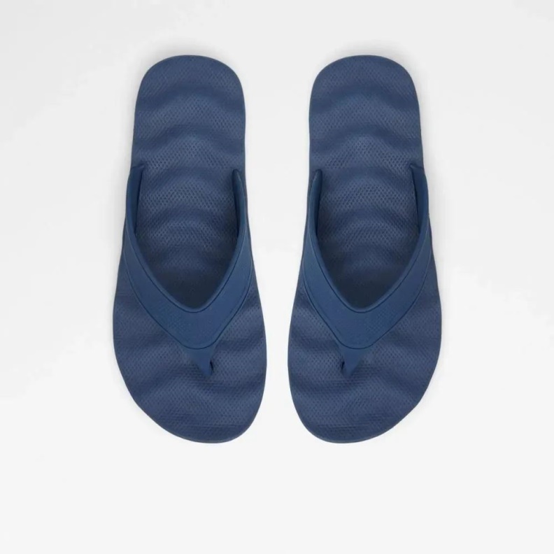 Navy Haciendo Men's Thong Sandal Aldo Fashion
