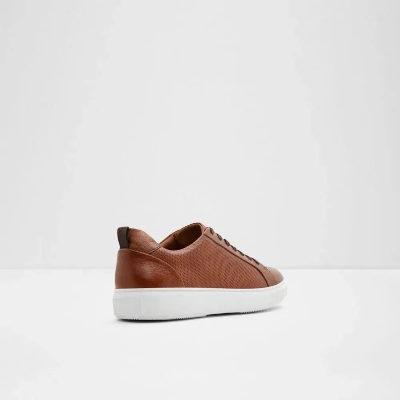 Cognac Fashion Aldo Holmes Men's Low Top Sneaker