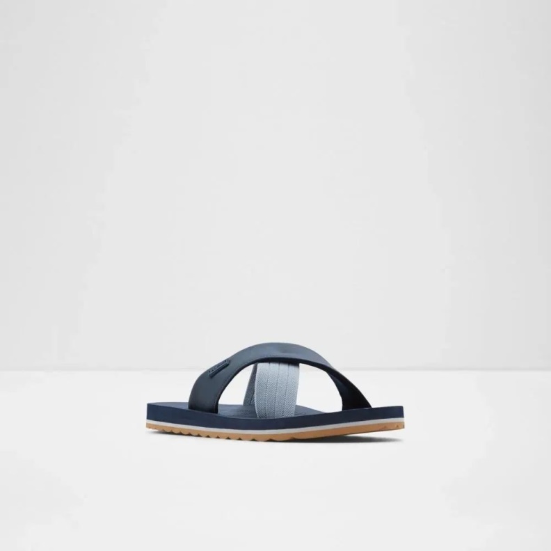 Inderpaul Men's Flat Slide Sandal Fashion Navy Aldo