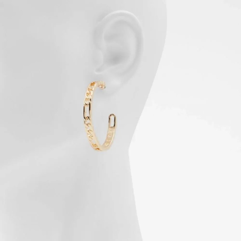 Aldo Legalerith Women's Accessories Earrings Gold Fashion
