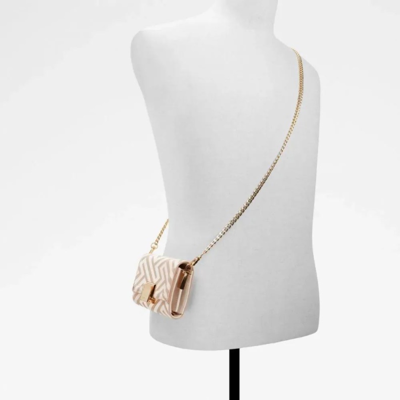 Aldo Fashion Manifest Women's Handbag Wallet On A Chain