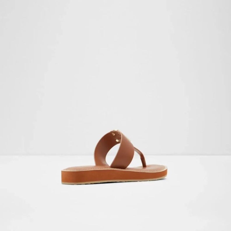 Malibu Women's Flat Thong Sandal Fashion Aldo Cognac