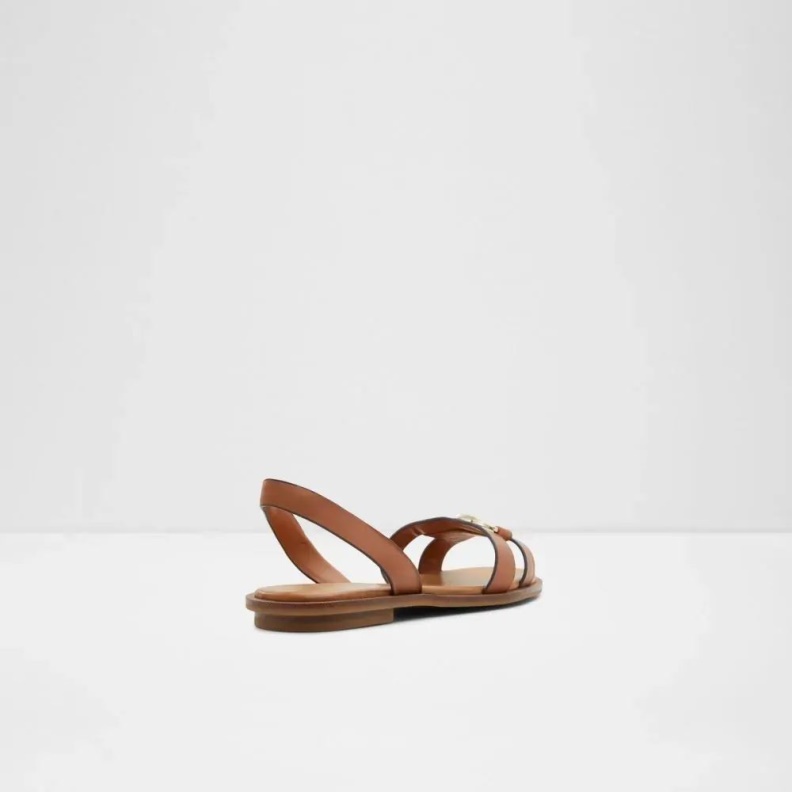 Medium-Brown Aldo Fashion Odele Women's Sling Back Flat Sandal