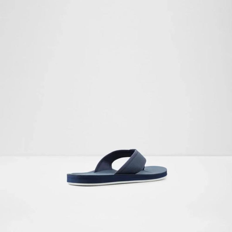 Orest Men's Flat Thong Sandal Navy Aldo Fashion