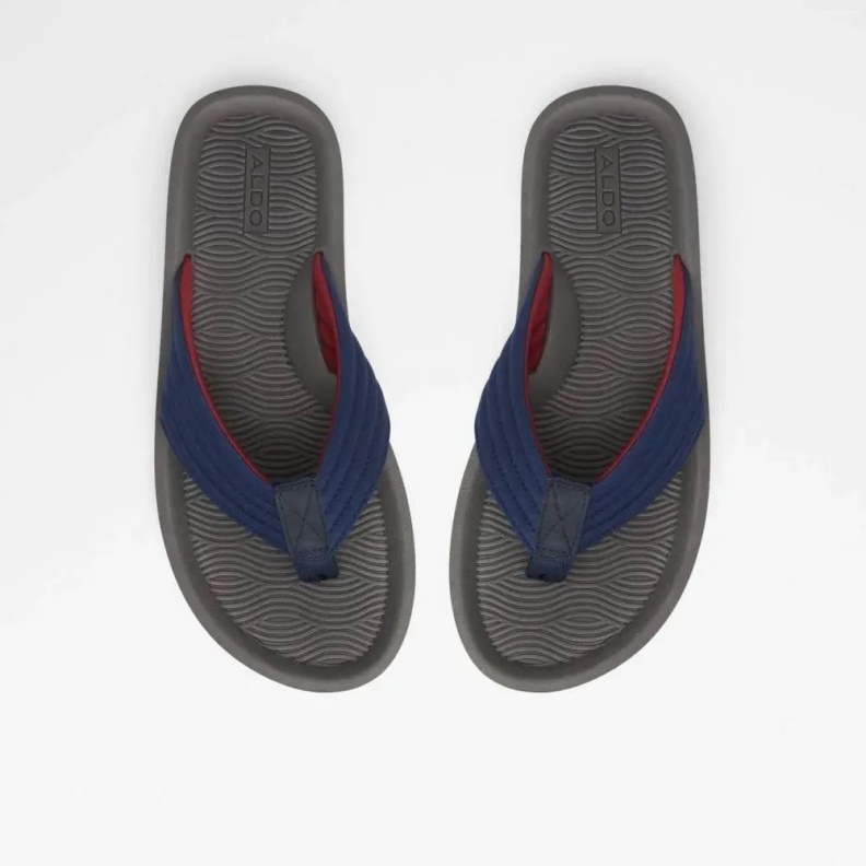 Aldo Other-Navy Fashion Proicien Men's Flat Thong Sandal