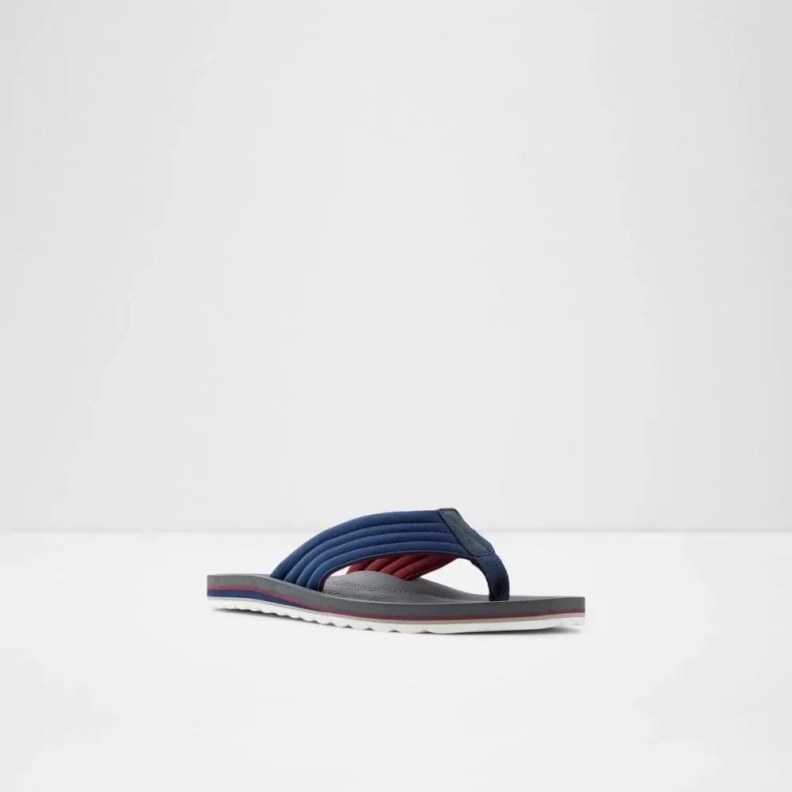 Aldo Other-Navy Fashion Proicien Men's Flat Thong Sandal