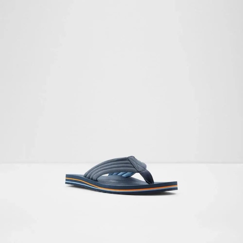 Aldo Proicien Men's Flat Thong Sandal Navy Fashion