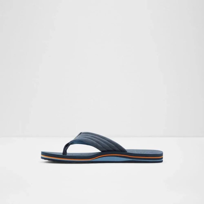 Aldo Proicien Men's Flat Thong Sandal Navy Fashion