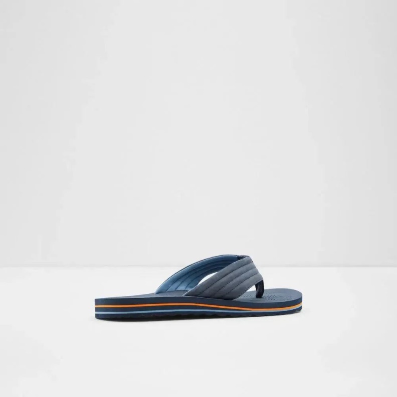 Aldo Proicien Men's Flat Thong Sandal Navy Fashion