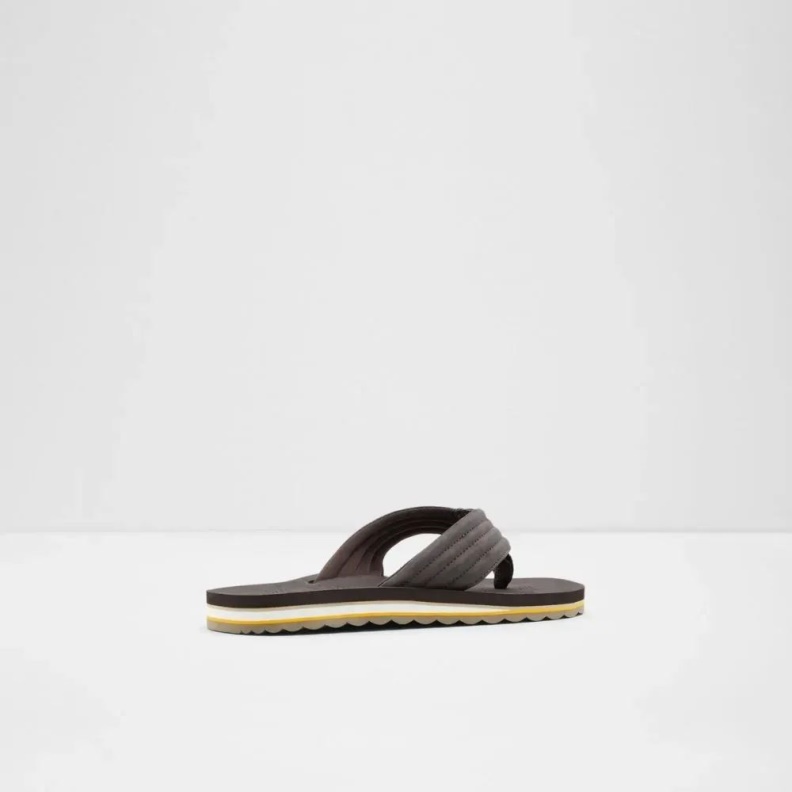 Fashion Dark-Brown Proicien Men's Slip-On Thong Sandal Aldo
