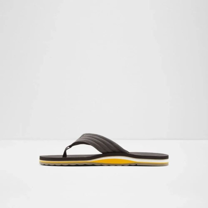 Fashion Dark-Brown Proicien Men's Slip-On Thong Sandal Aldo
