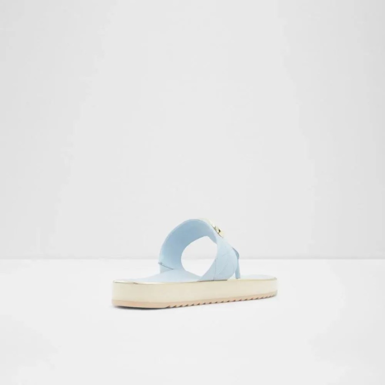 Blue Fashion Aldo Searene Women's Thong Beach Sandal