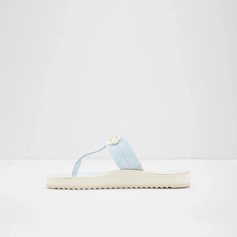 Blue Fashion Aldo Searene Women's Thong Beach Sandal