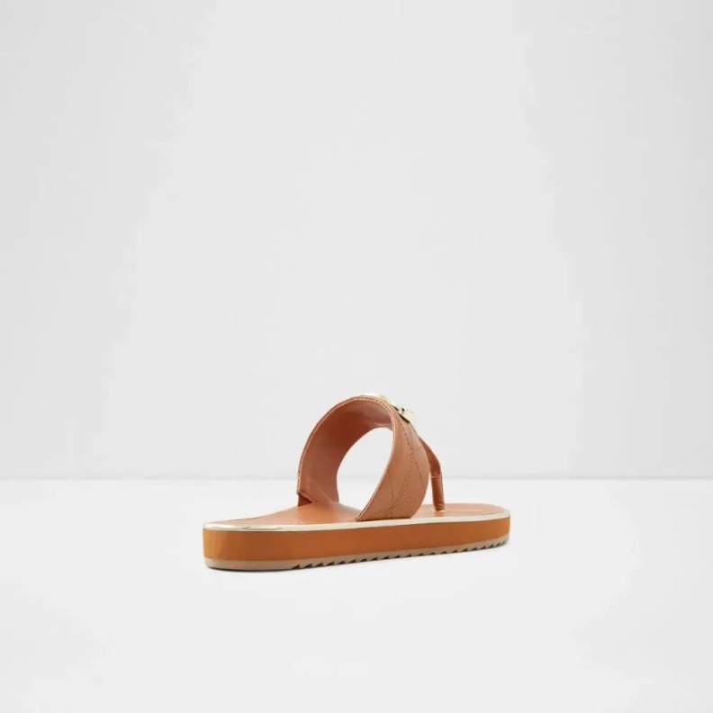 Fashion Aldo Searene Women's Thong Beach Sandal Medium-Brown