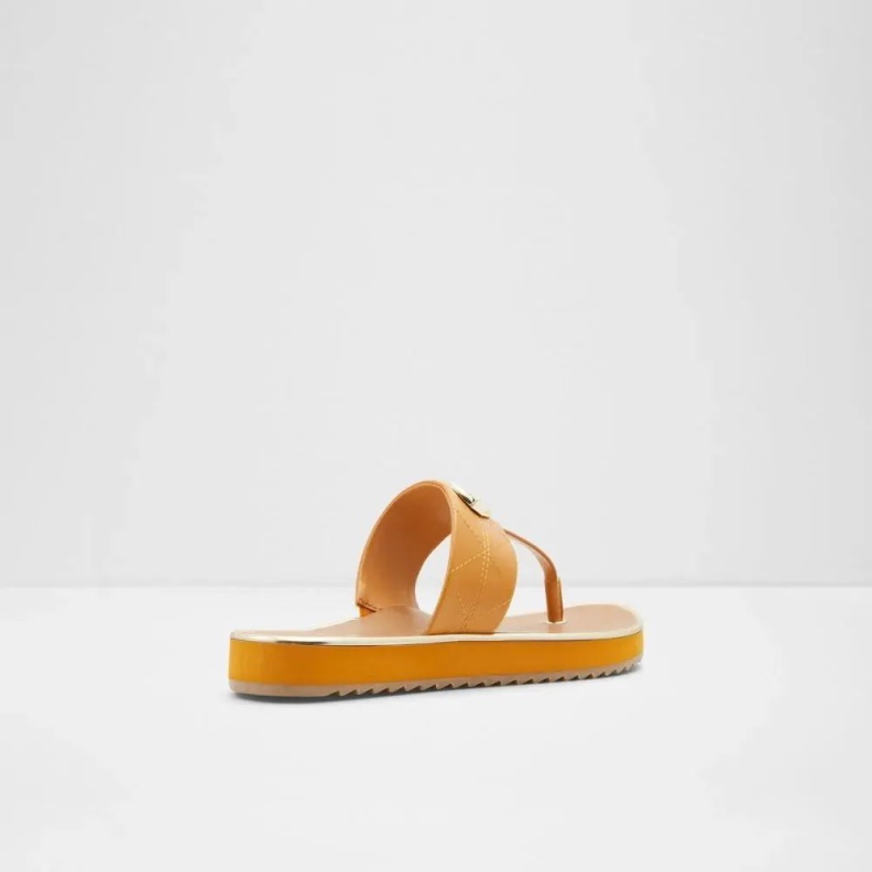 Fashion Aldo Searene Women's Thong Beach Sandal Medium Yellow