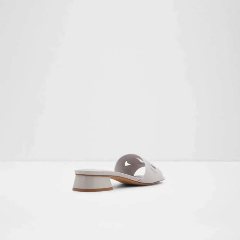 Fashion Other Grey Stellia Women's Block Heel Slide Sandal Aldo