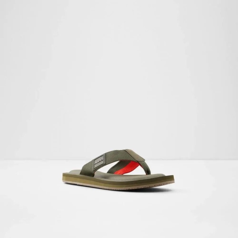 Tengen Men's Flat Thong Sandal Aldo Fashion Khaki