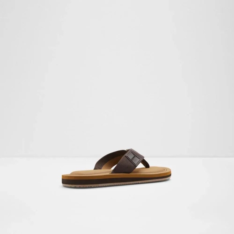 Tengen Men's Flat Thong Sandal Dark-Brown Aldo Fashion