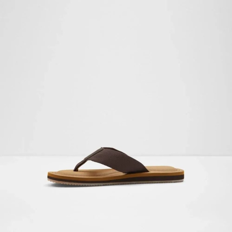 Tengen Men's Flat Thong Sandal Dark-Brown Aldo Fashion