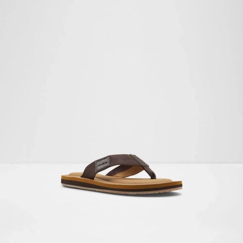 Tengen Men's Flat Thong Sandal Dark-Brown Aldo Fashion