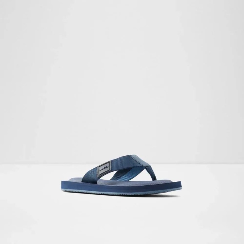 Tengen Men's Flat Thong Sandal Fashion Aldo Navy