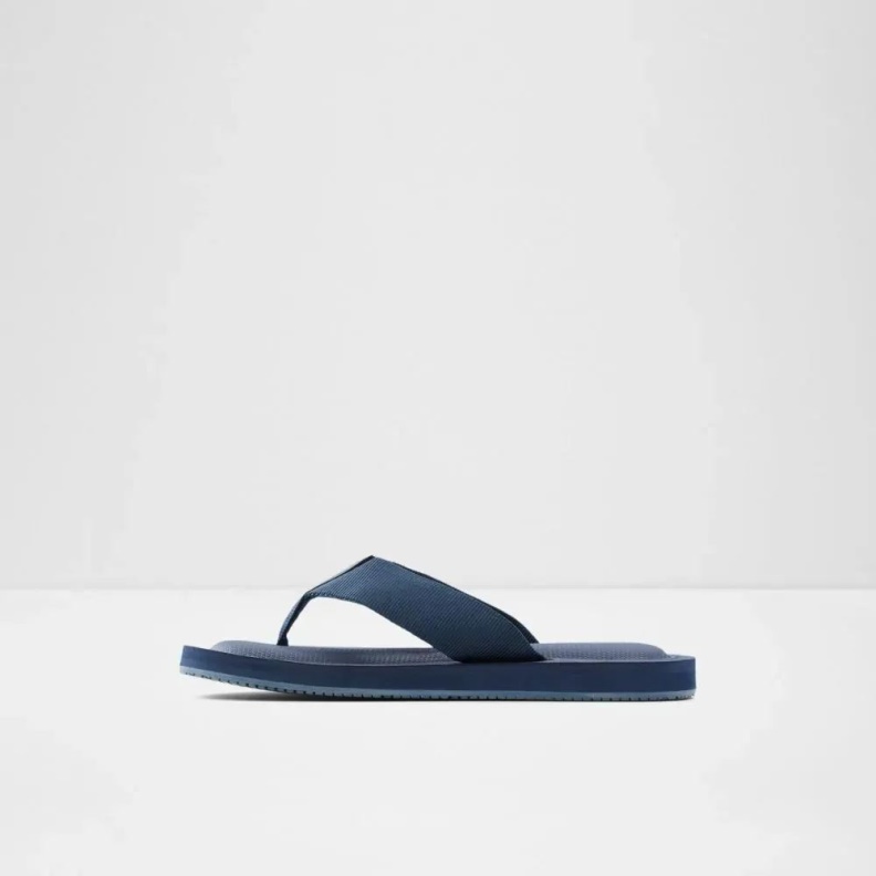 Tengen Men's Flat Thong Sandal Fashion Aldo Navy