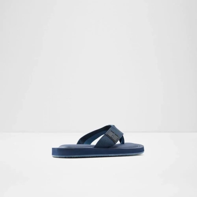 Tengen Men's Flat Thong Sandal Fashion Aldo Navy