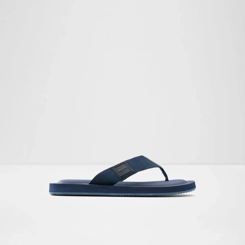 Tengen Men's Flat Thong Sandal Fashion Aldo Navy
