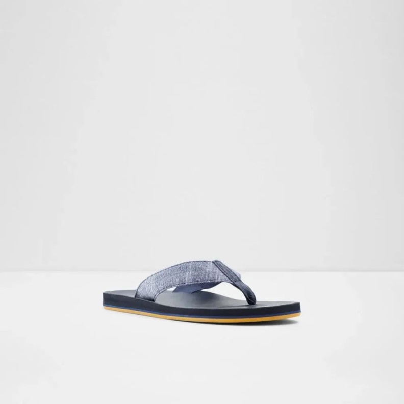 Navy Weallere Men's Flat Thong Sandal Aldo Fashion