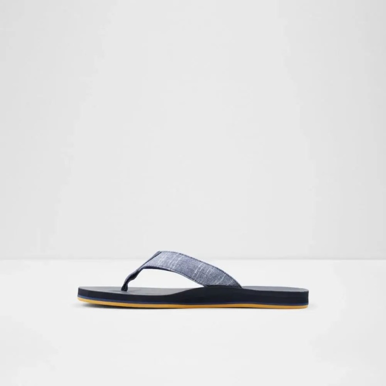 Navy Weallere Men's Flat Thong Sandal Aldo Fashion
